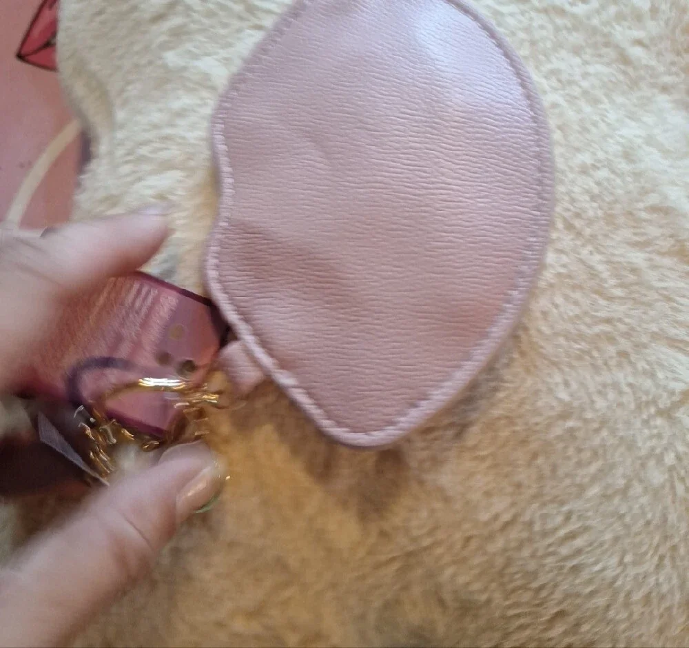 Pink Lip Gloss Set with  Lips Keychain Pouch..3 Lippies N Pouch